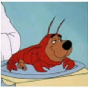 Meet your Posher, Garrison